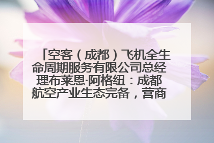 空客（成都）飞机全生命周期服务有限公司总经理布莱恩·阿格纽：成都航空产业生态完备，营商环境优势显著