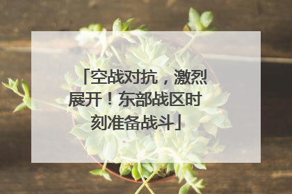 空战对抗，激烈展开！东部战区时刻准备战斗