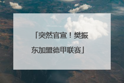 突然官宣！樊振东加盟德甲联赛