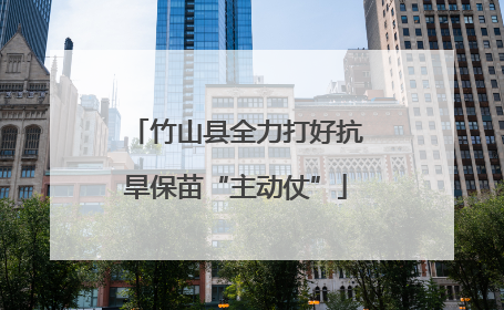 竹山县全力打好抗旱保苗“主动仗”