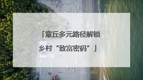 章丘多元路径解锁乡村“致富密码”