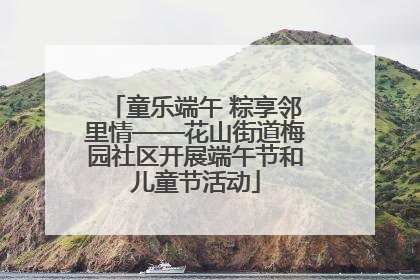童乐端午 粽享邻里情——花山街道梅园社区开展端午节和儿童节活动