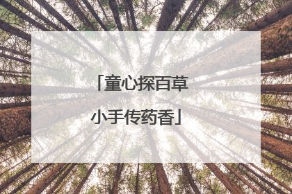 童心探百草 小手传药香