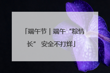 端午节｜端午“粽情长” 安全不打烊