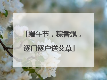 端午节，粽香飘，逐门逐户送艾草