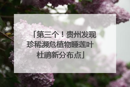 第三个！贵州发现珍稀濒危植物睡莲叶杜鹃新分布点
