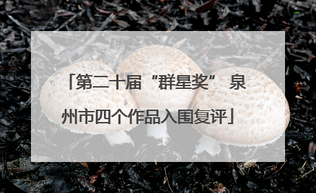 第二十届“群星奖” 泉州市四个作品入围复评