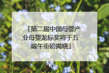 第二届中国母婴产业母婴龙标奖将于五端午重磅揭晓