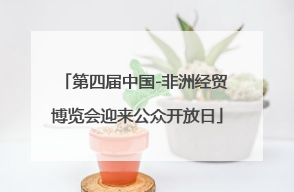 第四届中国-非洲经贸博览会迎来公众开放日