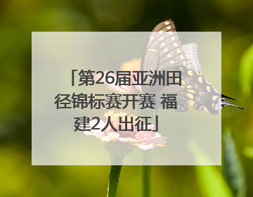 第26届亚洲田径锦标赛开赛 福建2人出征