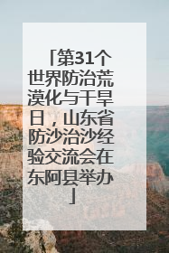 第31个世界防治荒漠化与干旱日，山东省防沙治沙经验交流会在东阿县举办
