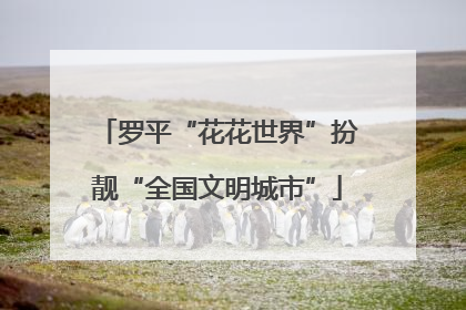 罗平“花花世界”扮靓“全国文明城市”