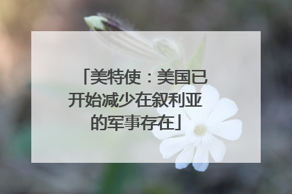 美特使：美国已开始减少在叙利亚的军事存在