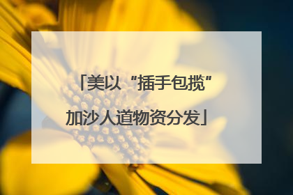美以“插手包揽”加沙人道物资分发