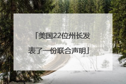 美国22位州长发表了一份联合声明