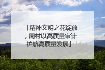 精神文明之花绽放，周村以高质量审计护航高质量发展