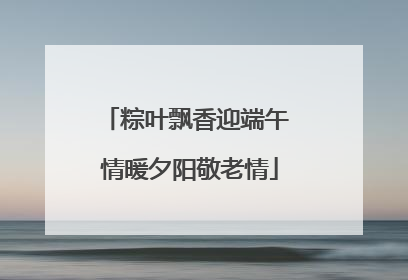 粽叶飘香迎端午 情暖夕阳敬老情