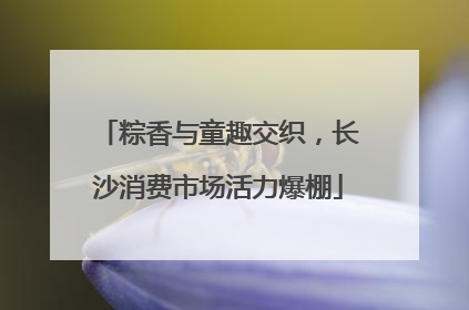 粽香与童趣交织，长沙消费市场活力爆棚