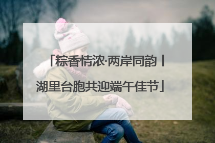 粽香情浓·两岸同韵丨湖里台胞共迎端午佳节