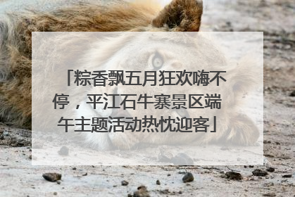 粽香飘五月狂欢嗨不停，平江石牛寨景区端午主题活动热忱迎客