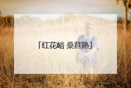 红花峪 桑葚熟