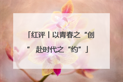 红评丨以青春之“创” 赴时代之“约”