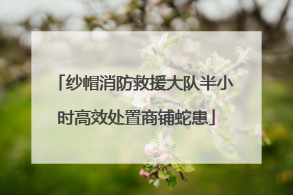 纱帽消防救援大队半小时高效处置商铺蛇患