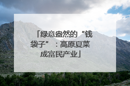 绿意盎然的“钱袋子”：高原夏菜成富民产业