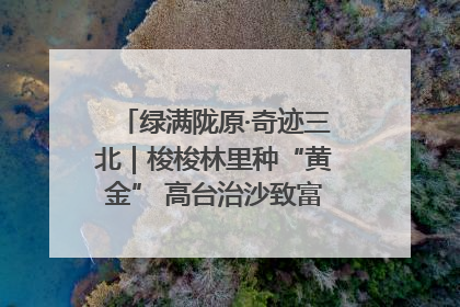 绿满陇原·奇迹三北｜梭梭林里种“黄金” 高台治沙致富很“从容”