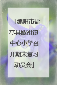 绵阳市盐亭县嫘祖镇中心小学召开期末复习动员会