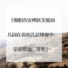 绵阳市安州区实验幼儿园在省幼儿足球赛中荣获双项二等奖