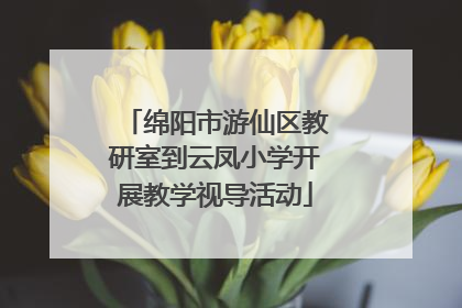 绵阳市游仙区教研室到云凤小学开展教学视导活动