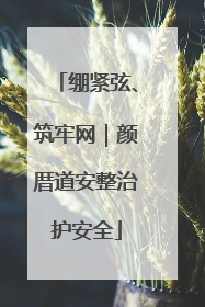 绷紧弦、筑牢网｜颜厝道安整治护安全