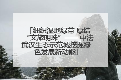 细织湿地绿带 厚结“文旅明珠”——中法武汉生态示范城挖掘绿色发展新动能