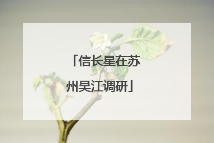 信长星在苏州吴江调研