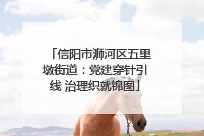 信阳市浉河区五里墩街道：党建穿针引线 治理织就锦图