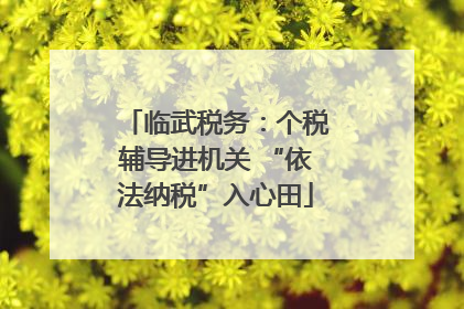 临武税务：个税辅导进机关 “依法纳税”入心田
