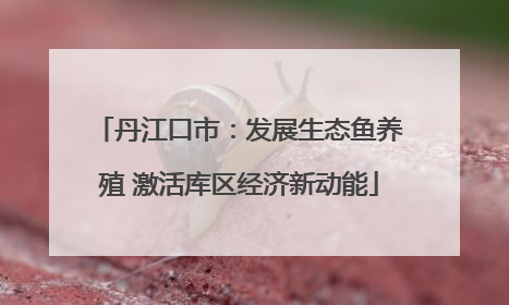 丹江口市：发展生态鱼养殖 激活库区经济新动能