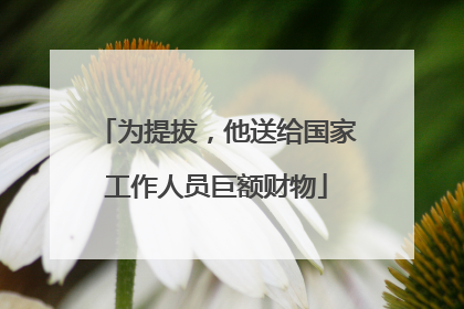 为提拔，他送给国家工作人员巨额财物