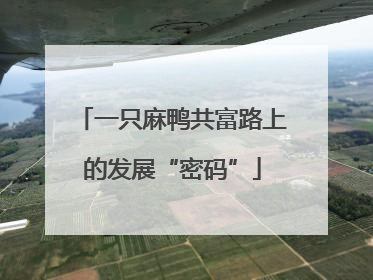 一只麻鸭共富路上的发展“密码”