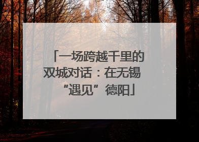一场跨越千里的双城对话：在无锡“遇见”德阳