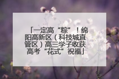 一定高“粽”！绵阳高新区（科技城直管区）高三学子收获高考“花式”祝福