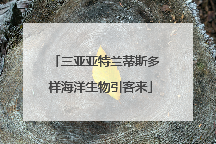 三亚亚特兰蒂斯多样海洋生物引客来