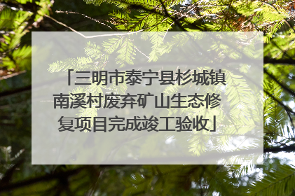 三明市泰宁县杉城镇南溪村废弃矿山生态修复项目完成竣工验收