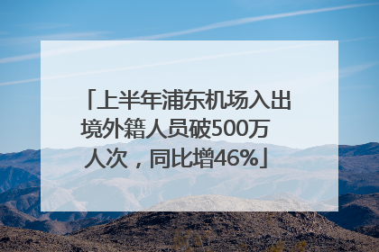 上半年浦东机场入出境外籍人员破500万人次，同比增46%