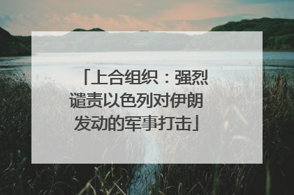 上合组织：强烈谴责以色列对伊朗发动的军事打击