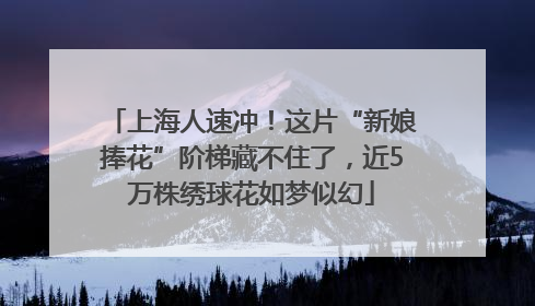 上海人速冲！这片“新娘捧花”阶梯藏不住了，近5万株绣球花如梦似幻