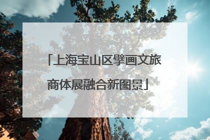 上海宝山区擘画文旅商体展融合新图景