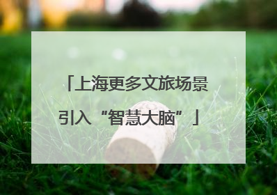 上海更多文旅场景引入“智慧大脑”