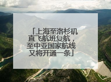 上海至洛杉矶直飞航班复航，至中亚国家航线又将开通一条
